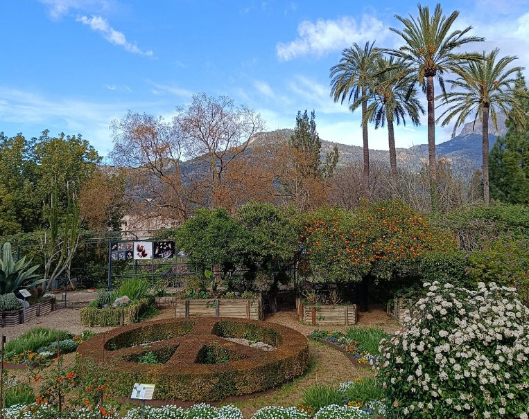 MUCBO | Jardí Botànic, Spain